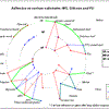 MSPoly-Perform-AdhesionSM