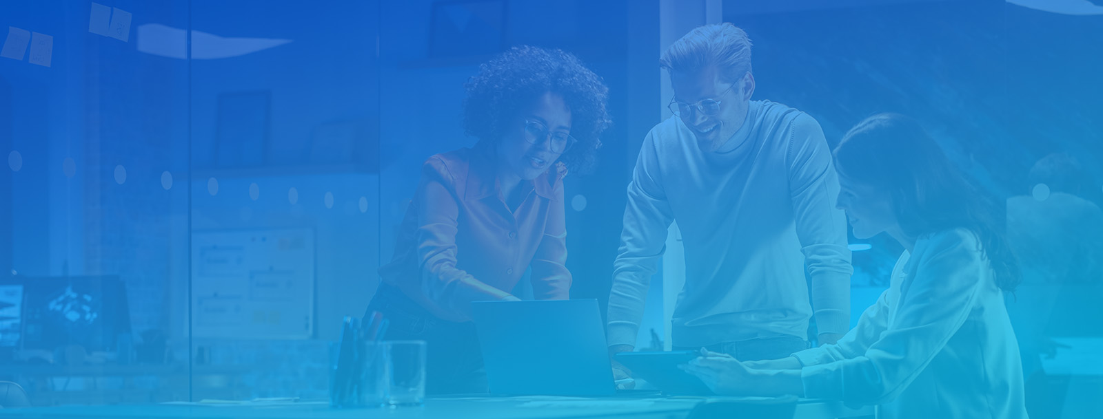 Kaneka Americas Slide 4